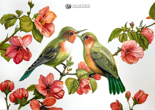 Blossom Serenade by Phaedra, a colored pencil artwork of two hummingbirds facing each other on a branch among coral and pink blossoms against a white background.