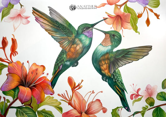 Ethereal Duet by Phaedra, a coloured pencil work of two hummingbirds facing each other with beaks nearly touching, framed by orange and purple flowers on white.