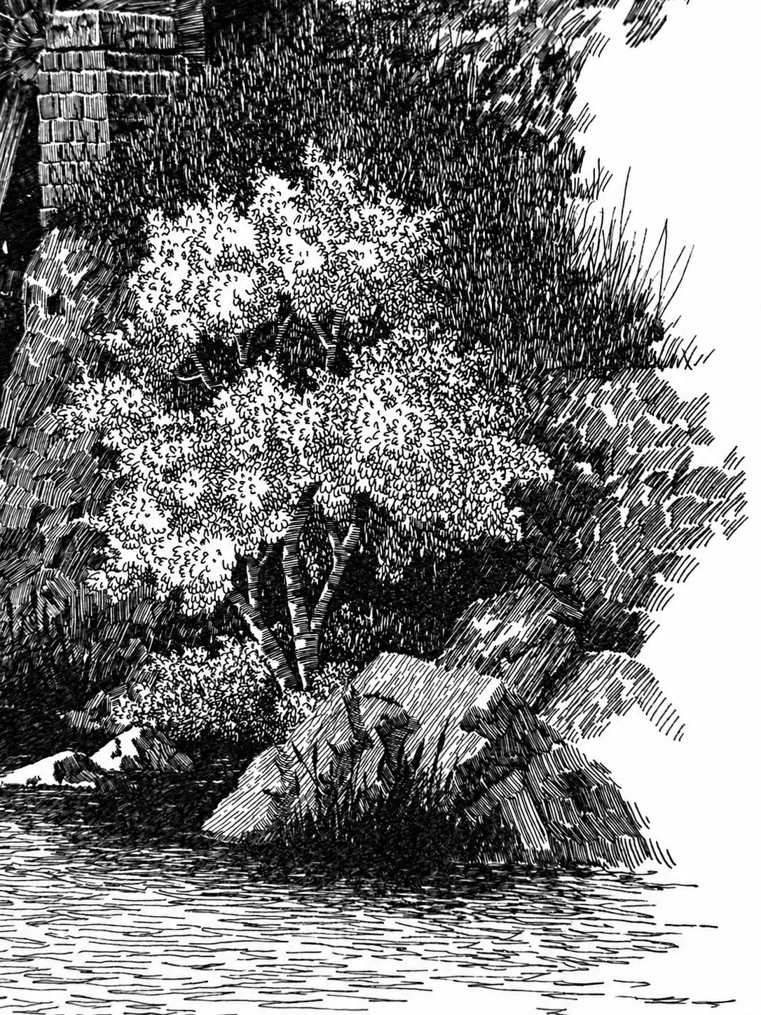 Detail of the right bank: a flowering shrub, grasses and hatched boulders at the water's edge next to a brick pier
