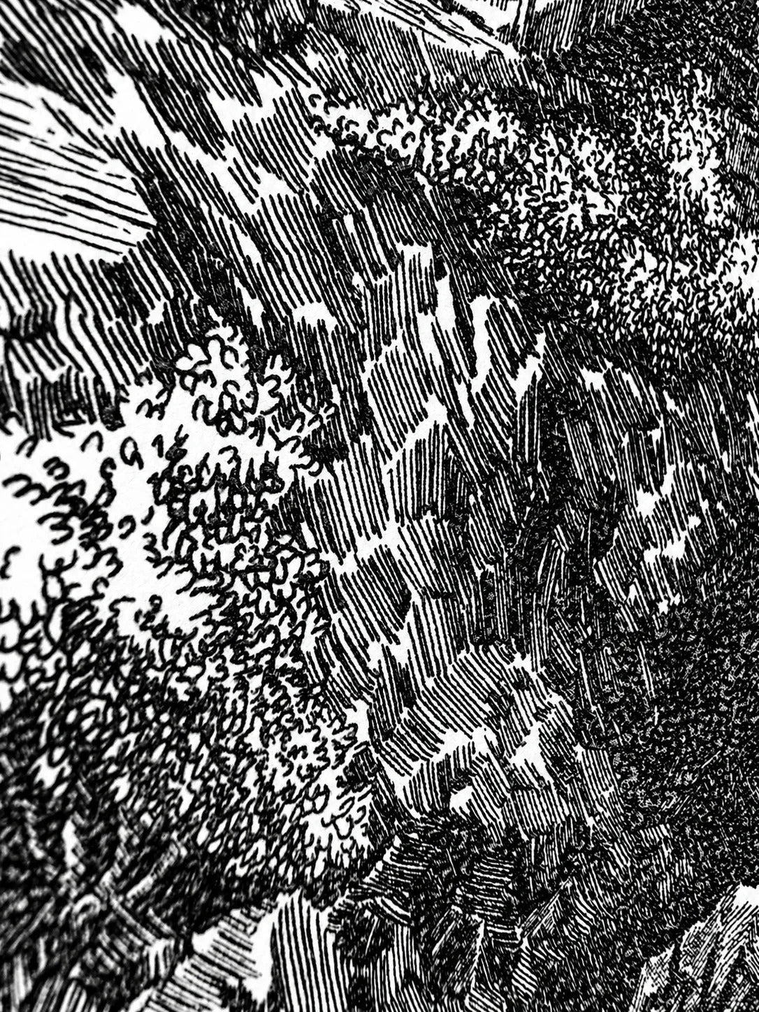 Macro view of the line work: curled strokes for foliage and dense parallel hatching for shadow