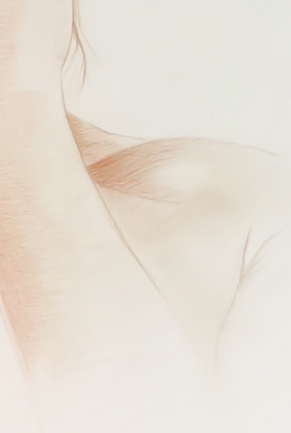 Censored from Within