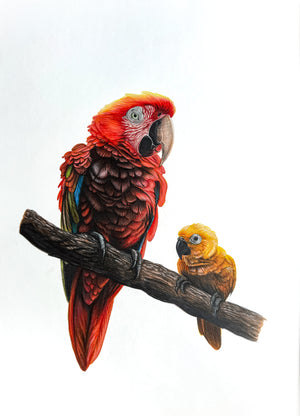 Descriptive image text