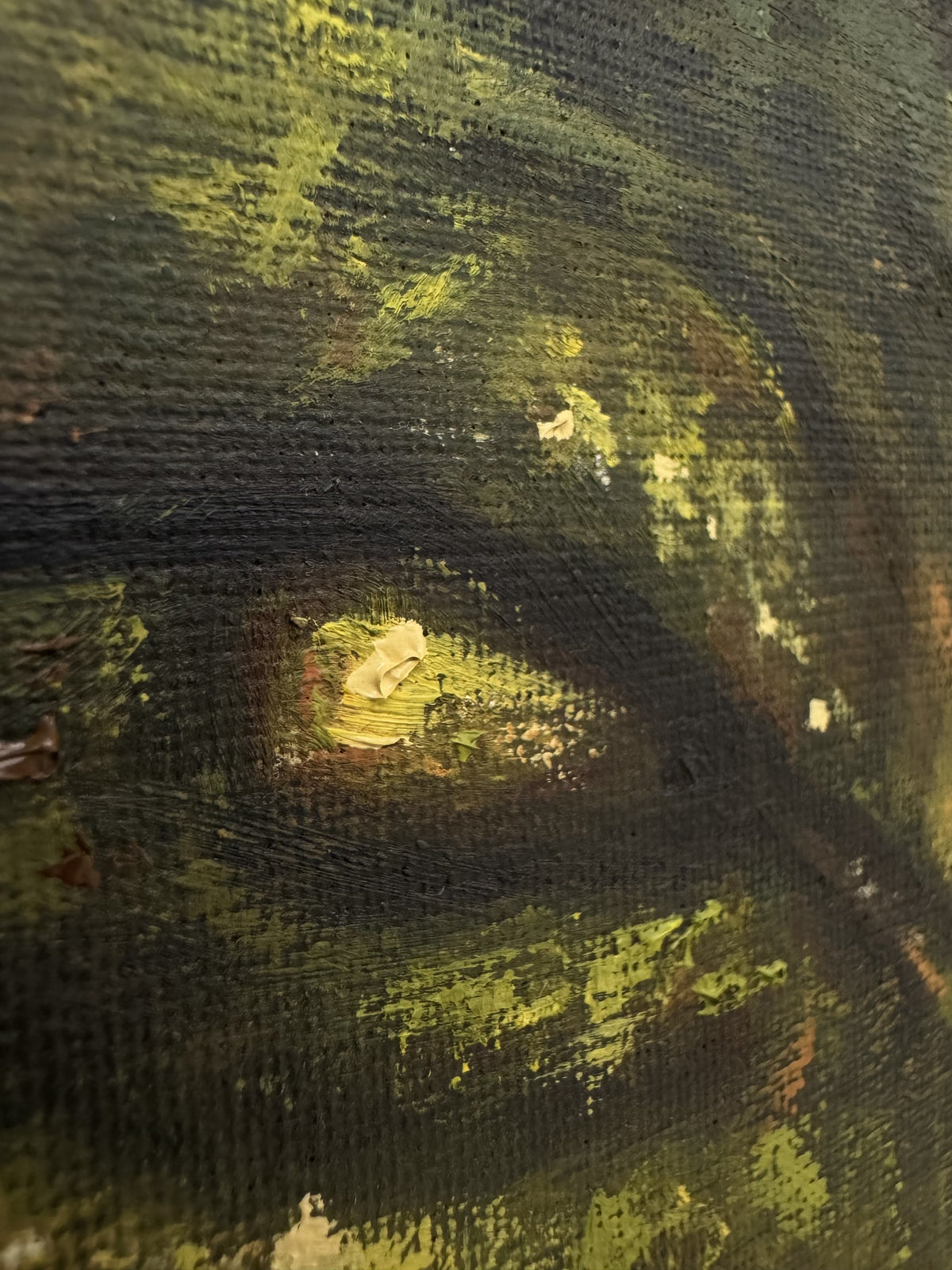 Detail of Second Skin by Phaedra: a sleeping animal's closed eye built from thick cream and yellow impasto on dark green